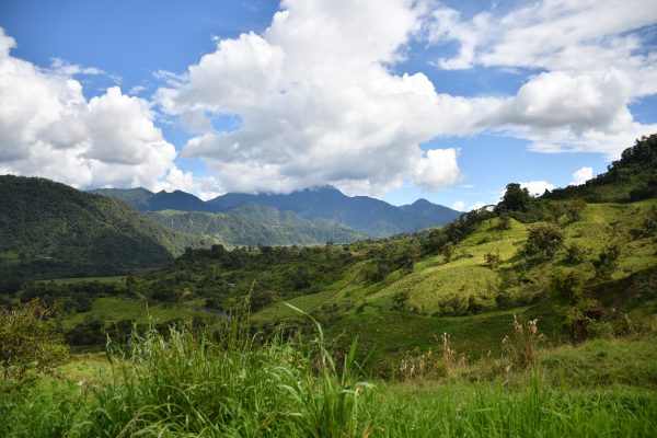 Ganadería y Agricultura