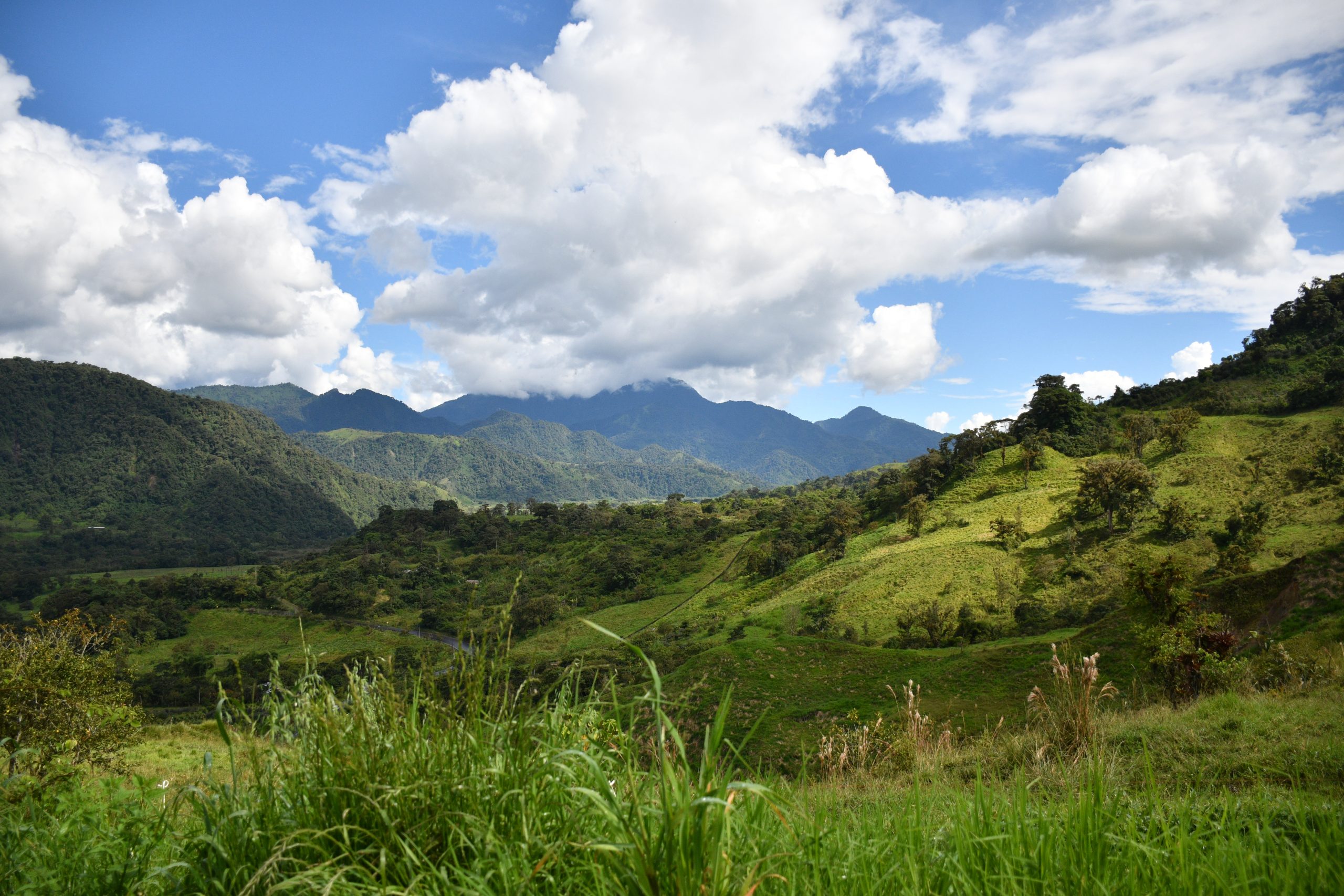 GanaderÃa y Agricultura
